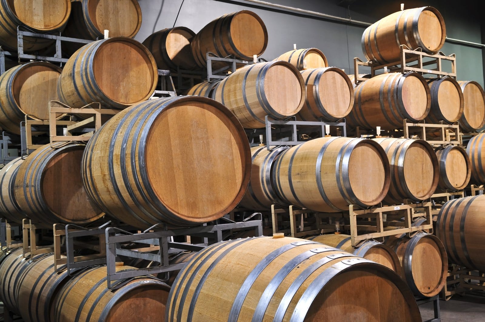 Niagara Wine Tour
