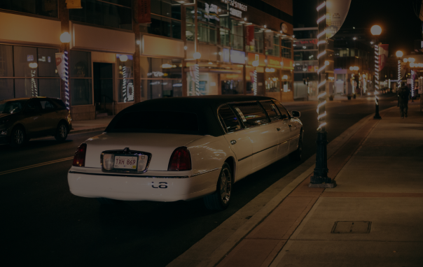 City Limo Sightseeing Service