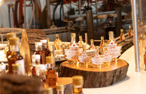 Maple Syrup Tasting