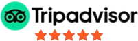 5.0 With 1,700+ Reviews